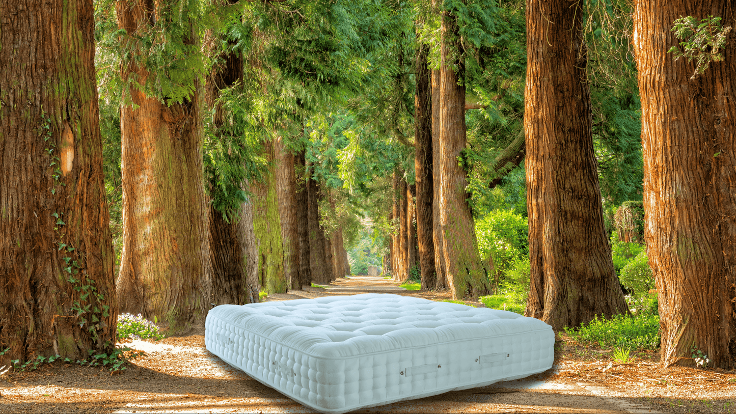 ERM MATTRESS